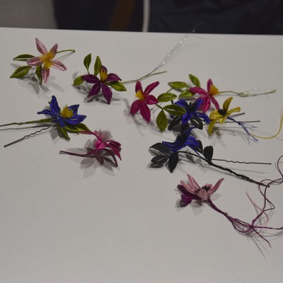 Fleurs de soie.